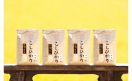 【令和5年産】南魚沼産コシヒカリ（白米20kg×全12回）新潟県 特A地区の美味しいお米。