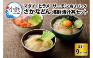 さかなどん　3種(マダイ・ヒラメ・サーモン)×3セット　海鮮漬け丼セット