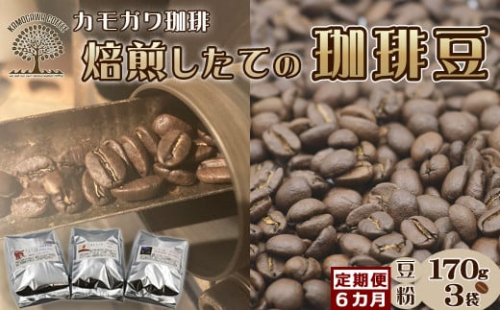 【カモガワ珈琲の定期便】焙煎したてのコーヒー豆 ３種（170g×３袋）６カ月《豆・毎月発送》　[0096-0001]