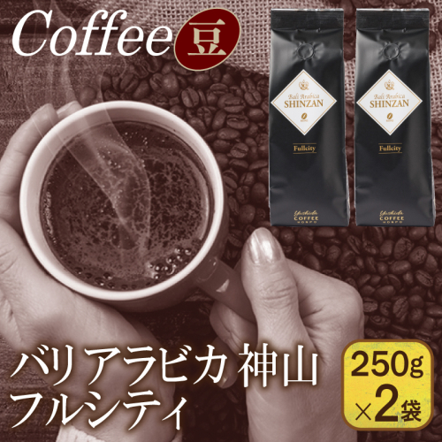 バリアラビカ神山フルシティ　250g×2袋／豆 【珈琲 こーひー コーヒー 自家焙煎 オリジナル ギフト キャンプ アウトドア 家計応援】 099H1850 899916 - 大阪府泉佐野市