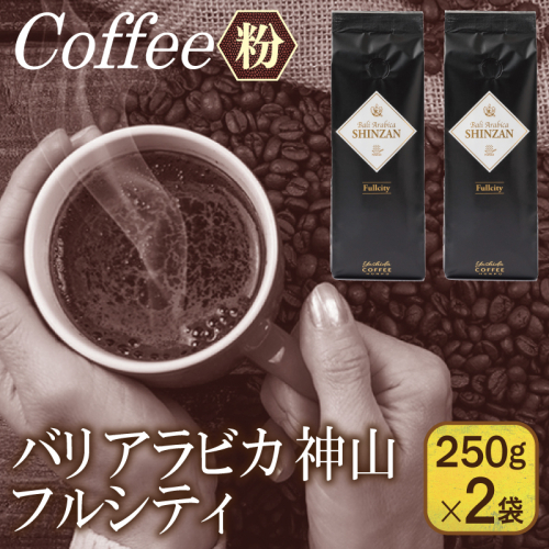 バリアラビカ神山フルシティ　250g×2袋／粉 【珈琲 こーひー コーヒー 自家焙煎 オリジナル ギフト キャンプ アウトドア 家計応援】 099H1851 899917 - 大阪府泉佐野市