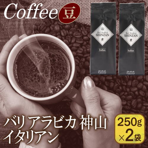 バリアラビカ神山イタリアン　250g×2袋／豆 【珈琲 こーひー コーヒー 自家焙煎 オリジナル ギフト キャンプ アウトドア 家計応援】 099H1852 899918 - 大阪府泉佐野市