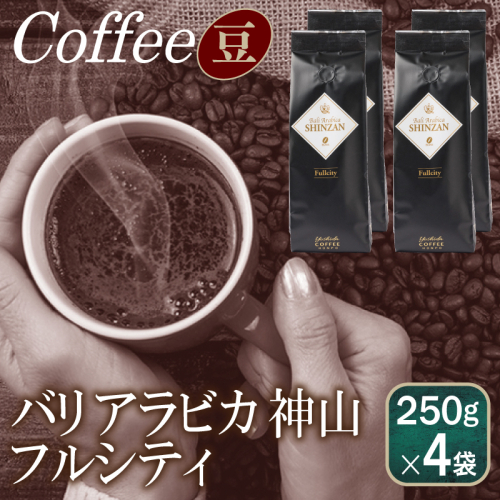 バリアラビカ神山フルシティ    250g×4袋／豆 【珈琲 こーひー コーヒー 自家焙煎 オリジナル ギフト キャンプ アウトドア 家計応援】 099H1866 899932 - 大阪府泉佐野市