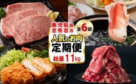 [定期便・全6回]お肉のお楽しみ定期便 総量11.8kg超 t