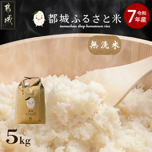 都城ふるさと米(ひのひかり)無洗米5kg_14-9002 900345 - 宮崎県都城市