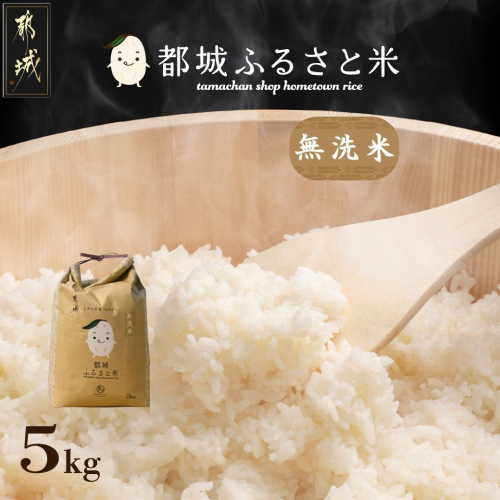 都城ふるさと米(ひのひかり)無洗米5kg_12-9005 900345 - 宮崎県都城市