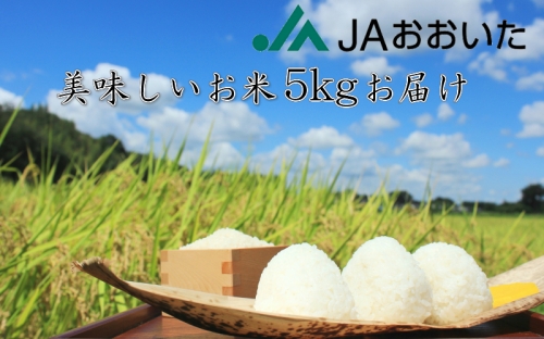 JA美味しいお米/5kg（ひとめぼれ）  90057 - 大分県国東市