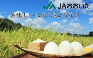 JA美味しいお米/5kg（ひとめぼれ）