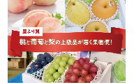 KF-T024【きよとう】量より質！桃と葡萄と梨の上級品が届く岡山果物便！