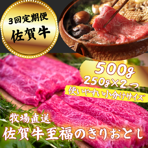 【定期便3回】佐賀牛 至福のきりおとし 500g：B370-007 901443 - 佐賀県佐賀市