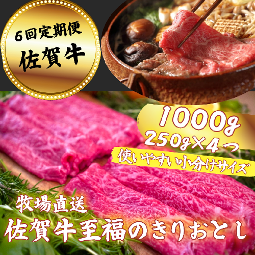 【定期便6回】佐賀牛 至福のきりおとし 1000g（250g×4P）：C126-015 901556 - 佐賀県佐賀市