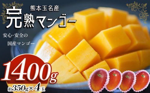 完熟 マンゴー 約 1400g （ 約350g × 4玉 ） | フルーツ 果物 くだもの 完熟マンゴー 熊本県 玉名市