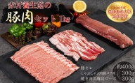 赤村養生館 豚肉セット 1㎏ B12