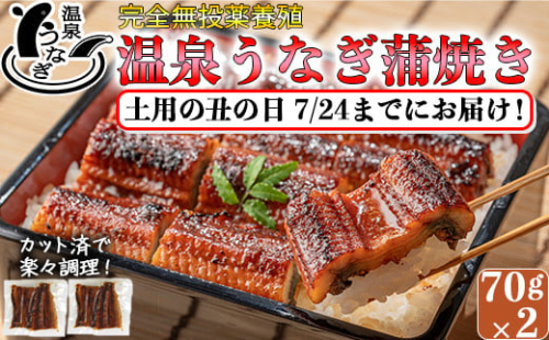 【まだ間に合う 土用の丑 7/24(水)までにお届け 】 完全無投薬養殖 国産 温泉うなぎ蒲焼 (カット) 70g×2＜104-057_5＞