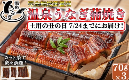 【まだ間に合う 土用の丑 7/24(水)までにお届け 】 完全無投薬養殖 国産 温泉うなぎ蒲焼 (カット) 70g×3＜104-058_5＞