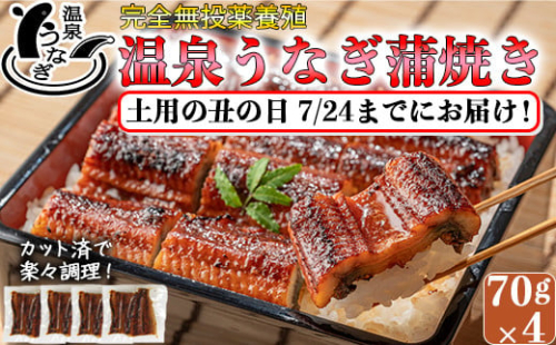 【まだ間に合う 土用の丑 7/24(水)までにお届け 】 完全無投薬養殖 国産 温泉うなぎ蒲焼 (カット) 70g×4＜104-059_5＞