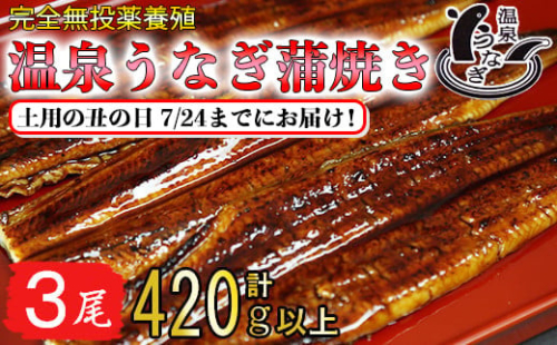【まだ間に合う 土用の丑 7/24(水)までにお届け 】 完全無投薬養殖 国産 温泉うなぎ蒲焼 3尾 （140gサイズ）＜104-061_5＞