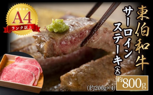 東伯和牛サーロインステーキ（大） 国産 牛肉 和牛 黒毛和牛 サーロイン ステーキ