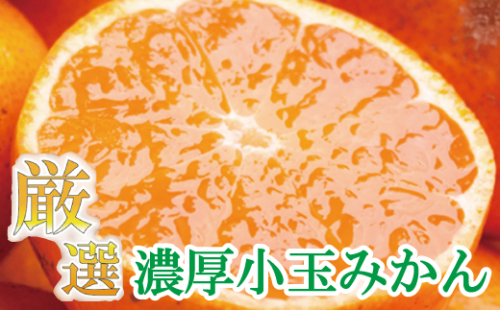 厳選　小玉な有田みかん7.5kg+225g（傷み補償分）【光センサー選果】＜11月上旬より順次発送予定＞【ikd023-2B】 902213 - 和歌山県北山村