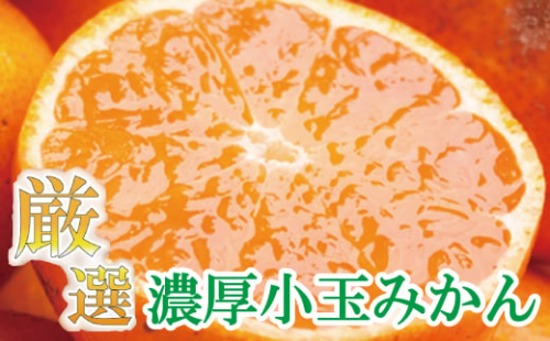 厳選　小玉な有田みかん5kg+150g（傷み補償分）【光センサー選果】＜11月上旬より順次発送予定＞【ikd117B】 902221 - 和歌山県北山村