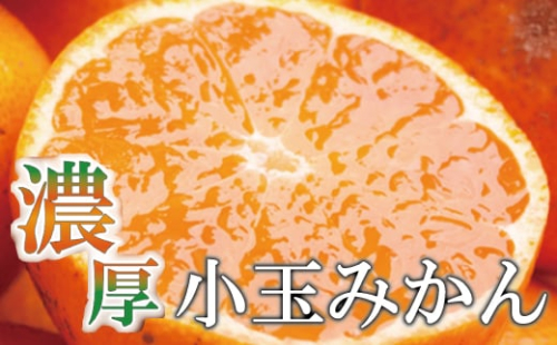 家庭用　小玉な有田みかん7.5kg+225g（傷み補償分）【わけあり・訳あり】【光センサー選果】＜11月上旬より順次発送予定＞【ikd118B】 902222 - 和歌山県北山村