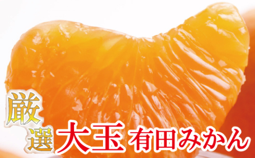 厳選　大きな有田みかん7kg+210g（傷み補償分）【光センサー選果】＜11月上旬より順次発送予定＞【ikd119B】 902223 - 和歌山県北山村