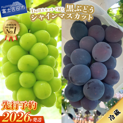 【2026年発送 先行予約】ジューシーで甘さ抜群 シャインマスカットと黒ぶどうセット(1kg以上) 902243 - 山梨県富士吉田市