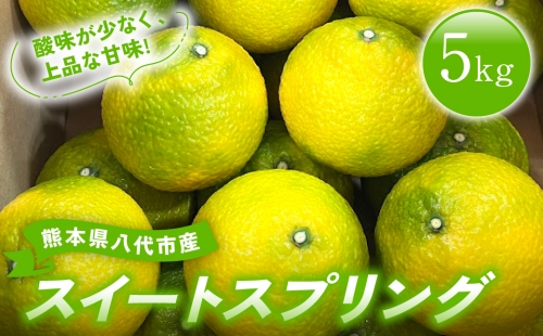 【先行予約】2023年12月上旬発送開始 熊本県 八代市産 スイートスプリング 5kg 柑橘
