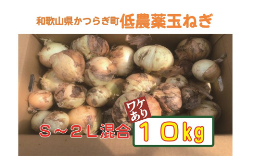 【訳あり】 農家さん直送 低農薬玉ねぎ 約10kg S～2Ｌ混合【ご家庭用※傷有り】【4月中旬～7月中旬発送予定】