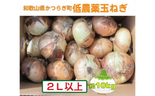 農家さん直送 低農薬玉ねぎ 2Ｌサイズ以上 約10kg 【4月中旬～7月中旬発送予定】