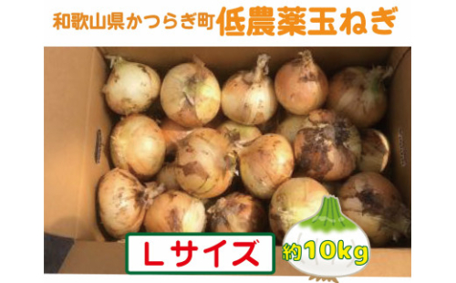 農家さん直送 低農薬玉ねぎ Ｌサイズ 約10kg 【4月中旬～7月中旬発送予定】