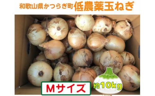 農家さん直送 低農薬玉ねぎ Mサイズ 約10kg 【4月中旬～7月中旬発送予定】