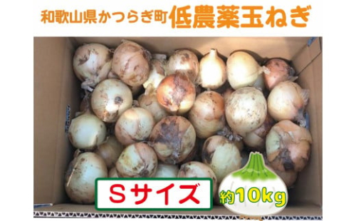 農家さん直送 低農薬玉ねぎ Sサイズ 約10kg 【4月中旬～7月中旬発送予定】