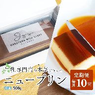 【定期便】濃厚プリン　New Pudding（ニュープディング）（500g×1本）×10ヶ月【be152-0931-100-10】