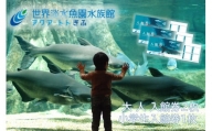508 世界淡水魚園水族館　アクア・トトぎふ　入館券（大人2枚・小学生1枚）