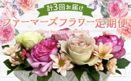 ファーマーズフラワー by the Bouquet KUMAMOTO【定期便年3回】 花 フラワーアレンジメント
