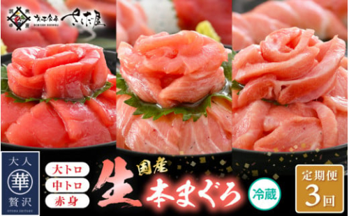 定期便≪3ヶ月連続お届け≫生本まぐろ 食べ比べ 定期便 計3回 おすすめ！まぐろの王様！【本まぐろ マグロ まぐろ 大とろ 中トロ 赤身 刺身 冷蔵 お取り寄せ グルメ】 [e04-b028]