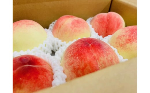 和歌山のこだわり桃　約1.5kg（５～６玉）【先行予約 2024年6月中旬～7月下旬発送】