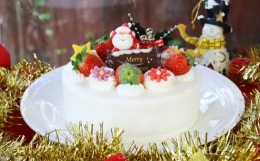 【ふるさと納税】【クリスマス限定】苺屋 クリスマスケーキ 生クリーム ５号 B-323