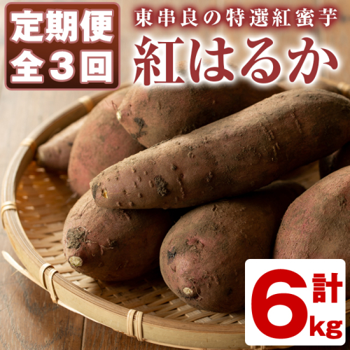 【21561】《定期便全3回(11月・12月・1月発送)》期間限定！鹿児島県東串良町産！特選紅蜜芋紅はるか(総量6kg・各月2kg)【甘宮】 90388 - 鹿児島県東串良町