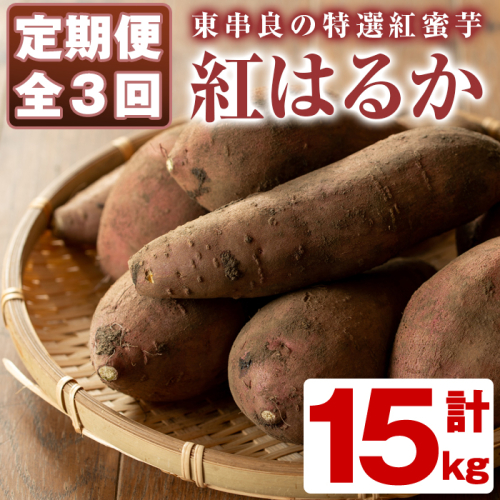 【30562】《定期便全3回(11月・12月・1月発送)》期間限定！鹿児島県東串良町産！特選紅蜜芋紅はるか(総量15kg・各月5kg)【甘宮】 90391 - 鹿児島県東串良町