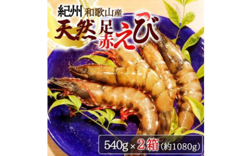 紀州和歌山産天然足赤えび540g×2箱（270g×4パック）　化粧箱入【2025年11月末頃から2026年2月上旬頃に順次発送】【UT24】