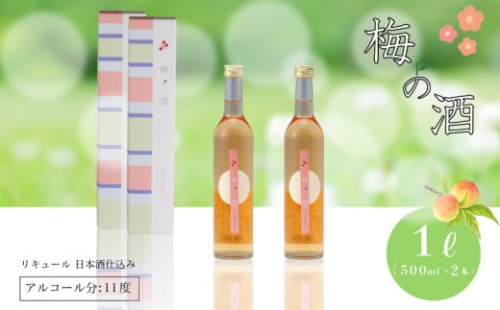 梅の酒 リキュール 500ml × 2本 ( お酒 酒 梅酒 果実酒 日本酒 おすすめ梅酒 梅 青梅 ロック ホット梅酒 下関酒造 プレゼント ギフト 銘酒 贈り物 贈答 家飲み 晩酌 お中元 お歳暮 記念日 父の日 母の日 ) 下関 山口