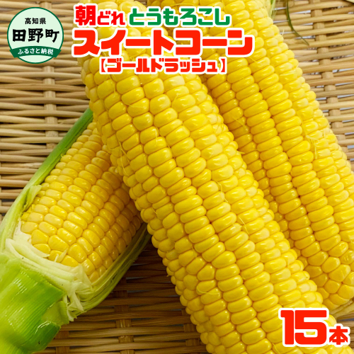 【四国一小さなまちのとうもろこし】先行予約★2025年6月上旬頃より発送開始予定★ とうもろこし スイートコーン ゴールドラッシュ 15本 数量限定 朝どれ 新鮮 甘い 野菜 産地直送 冷蔵 配送 904165 - 高知県田野町