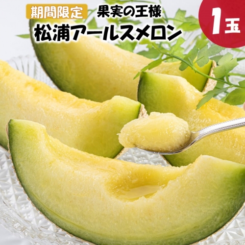 【A5-012】まさに果実の王様　松浦アールスメロン　糖度14度以上、1.4kg以上1玉入り