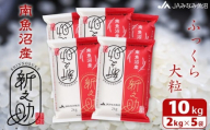 【令和7年産＼新米／】南魚沼産新之助 精米 2kg×5袋 精米HACCP認定工場 高品質精米 大粒 もっちり