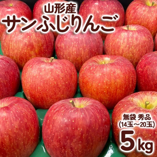 サンふじりんご 無袋 秀品5kg(14玉～20玉) FY23-003