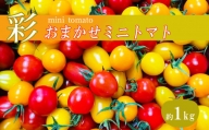 おたのしみ ミニトマト 1kg サザキ農園 | | 野菜 やさい トマト とまと ミニトマト 熊本県 玉名市 生産量 日本一 玉名市 !!