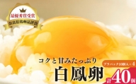 さかもと養鶏の白鳳卵：プラパック10個入り×4P | 卵 たまご 玉子 タマゴ 生たまご 生卵 白鳳卵 奈良県 五條市