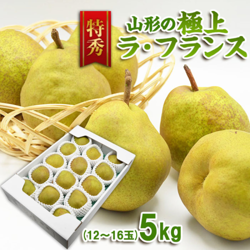 【特秀】山形の極上 ラフランス 特秀品 約5kg(12～16玉)[11月お届け]【令和8年産先行予約】FS25-780 904945 - 山形県山形市